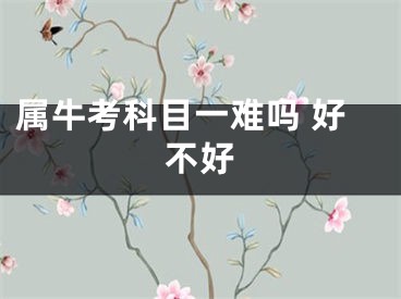 属牛考科目一难吗 好不好