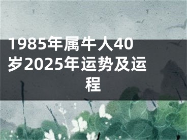 1985年属牛人40岁2025年运势及运程
