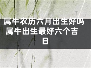 属牛农历六月出生好吗 属牛出生最好六个吉日