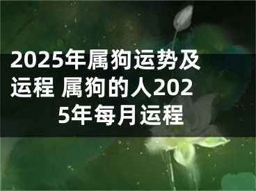 2025年属狗运势及运程 属狗的人2025年每月运程