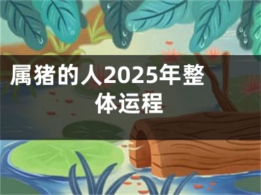 属猪的人2025年整体运程