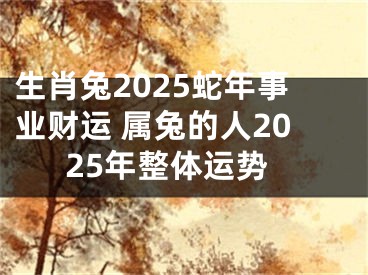 生肖兔2025蛇年事业财运 属兔的人2025年整体运势