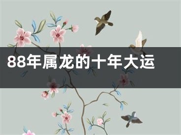88年属龙的十年大运