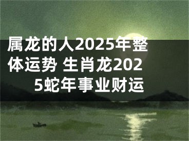 属龙的人2025年整体运势 生肖龙2025蛇年事业财运