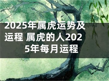 2025年属虎运势及运程 属虎的人2025年每月运程