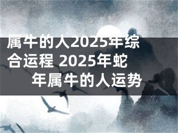 属牛的人2025年综合运程 2025年蛇年属牛的人运势