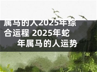 属马的人2025年综合运程 2025年蛇年属马的人运势