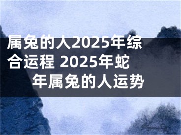 属兔的人2025年综合运程 2025年蛇年属兔的人运势