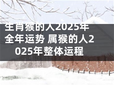 生肖猴的人2025年全年运势 属猴的人2025年整体运程