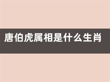 唐伯虎属相是什么生肖