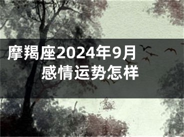摩羯座2024年9月感情运势怎样