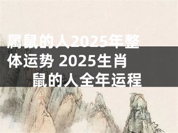 属鼠的人2025年整体运势 2025生肖鼠的人全年运程