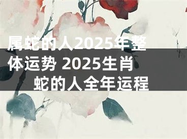 属蛇的人2025年整体运势 2025生肖蛇的人全年运程