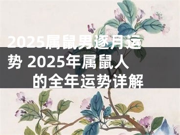2025属鼠男逐月运势 2025年属鼠人的全年运势详解
