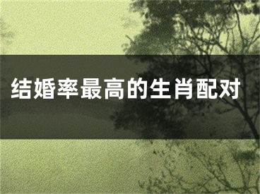 结婚率最高的生肖配对