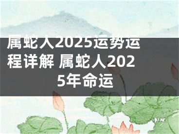 属蛇人2025运势运程详解 属蛇人2025年命运