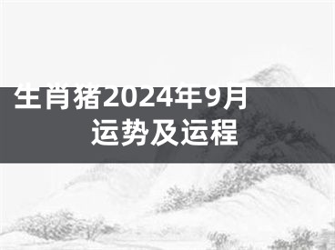 生肖猪2024年9月运势及运程