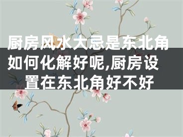 厨房风水大忌是东北角如何化解好呢,厨房设置在东北角好不好