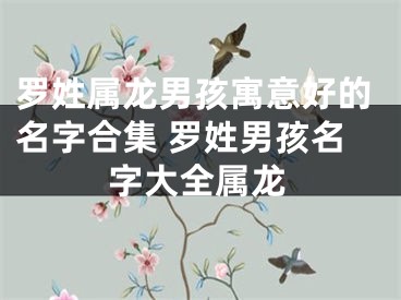 罗姓属龙男孩寓意好的名字合集 罗姓男孩名字大全属龙