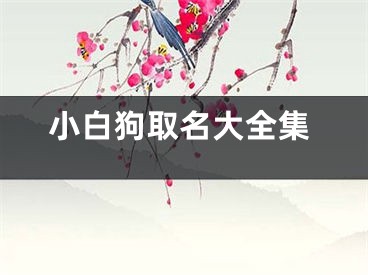 小白狗取名大全集