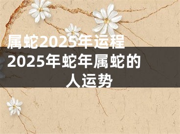 属蛇2025年运程 2025年蛇年属蛇的人运势