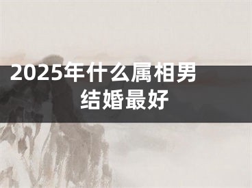 2025年什么属相男结婚最好