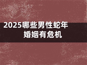2025哪些男性蛇年婚姻有危机