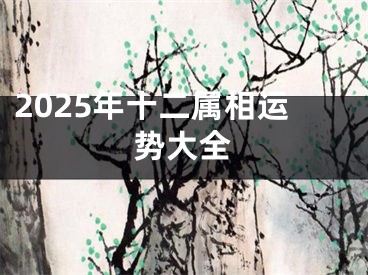 2025年十二属相运势大全