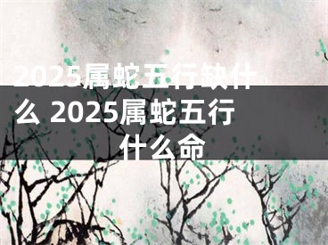 2025属蛇五行缺什么 2025属蛇五行什么命