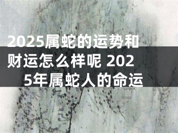 2025属蛇的运势和财运怎么样呢 2025年属蛇人的命运