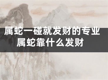 属蛇一碰就发财的专业 属蛇靠什么发财