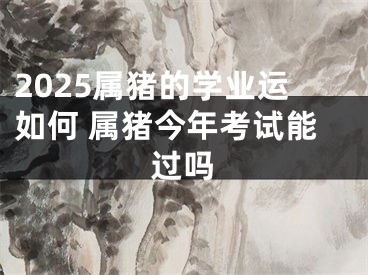 2025属猪的学业运如何 属猪今年考试能过吗