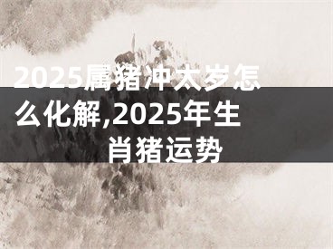 2025属猪冲太岁怎么化解,2025年生肖猪运势