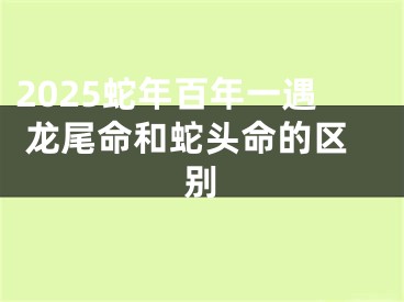 2025蛇年百年一遇 龙尾命和蛇头命的区别