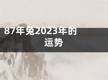 87年兔2023年的运势