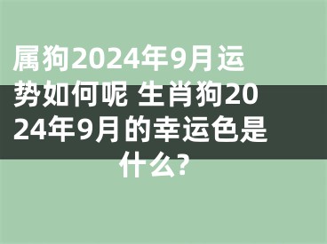 属狗2024年9月运势如何呢 生肖狗2024年9月的幸运色是什么?