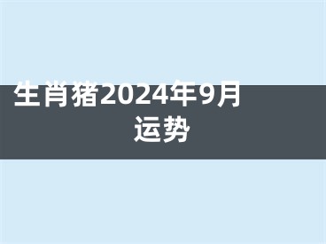 生肖猪2024年9月运势