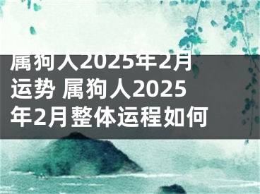 属狗人2025年2月运势 属狗人2025年2月整体运程如何 