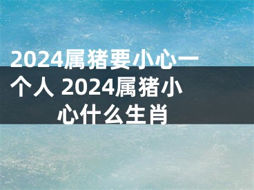 2024属猪要小心一个人 2024属猪小心什么生肖 