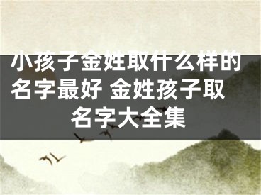 小孩子金姓取什么样的名字最好 金姓孩子取名字大全集