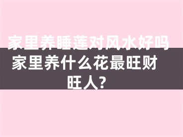 家里养睡莲对风水好吗 家里养什么花最旺财旺人?