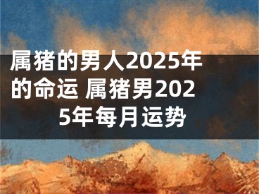 属猪的男人2025年的命运 属猪男2025年每月运势