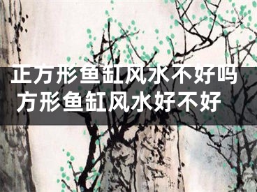 正方形鱼缸风水不好吗 方形鱼缸风水好不好