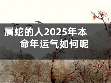 属蛇的人2025年本命年运气如何呢