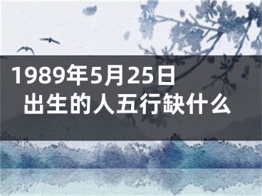 1989年5月25日出生的人五行缺什么