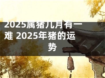 2025属猪几月有一难 2025年猪的运势