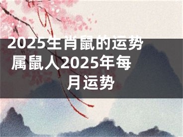 2025生肖鼠的运势 属鼠人2025年每月运势