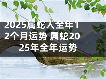 2025属蛇人全年12个月运势 属蛇2025年全年运势
