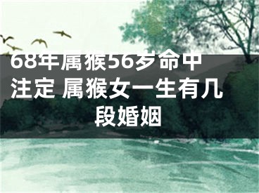 68年属猴56岁命中注定 属猴女一生有几段婚姻