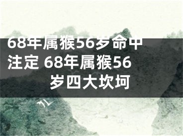 68年属猴56岁命中注定 68年属猴56岁四大坎坷